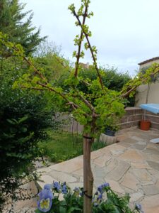 IMG_20260410_091810